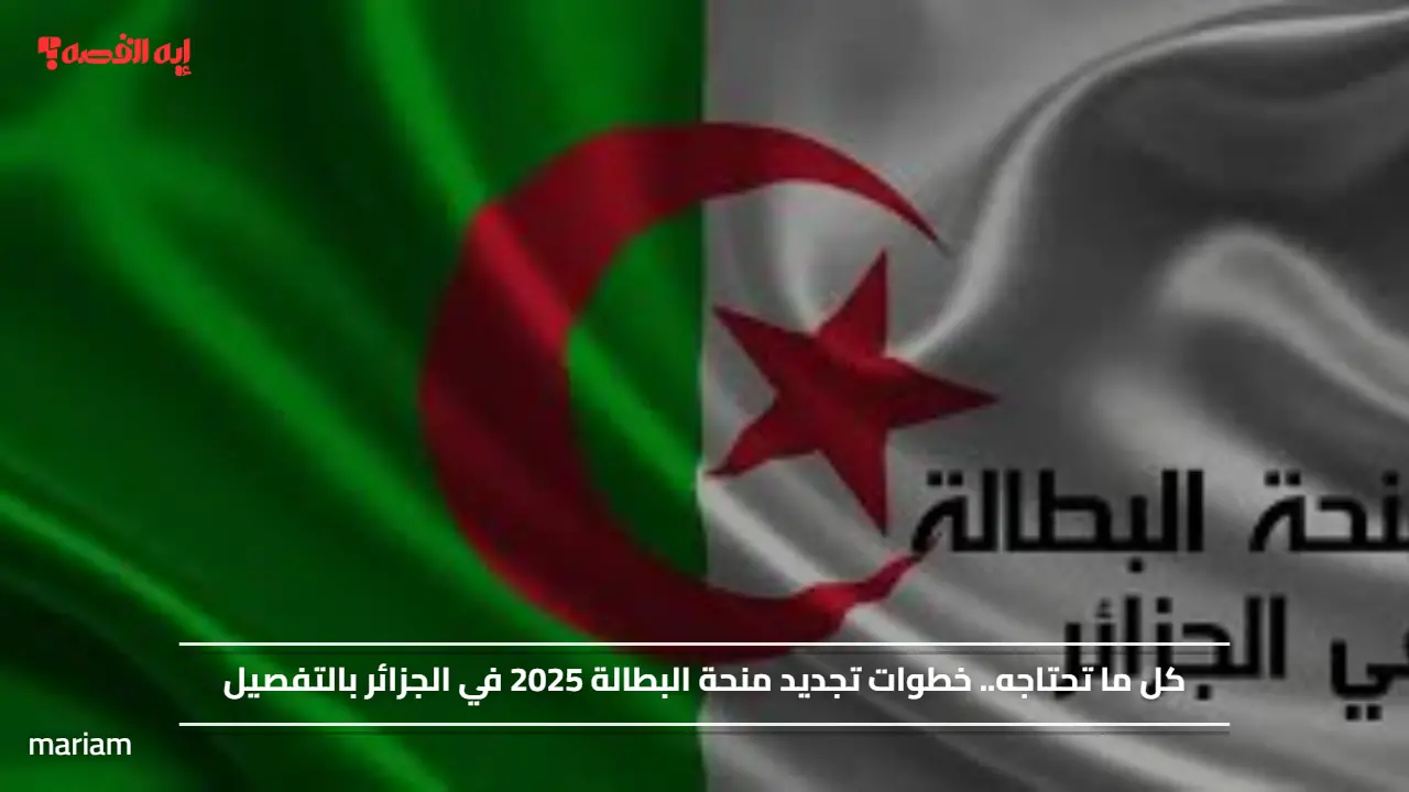 كل ما تحتاجه.. خطوات تجديد منحة البطالة 2025 في الجزائر بالتفصيل